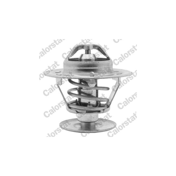 Termostatas, aušinimo skystis CALORSTAT by Vernet TH1400.90J