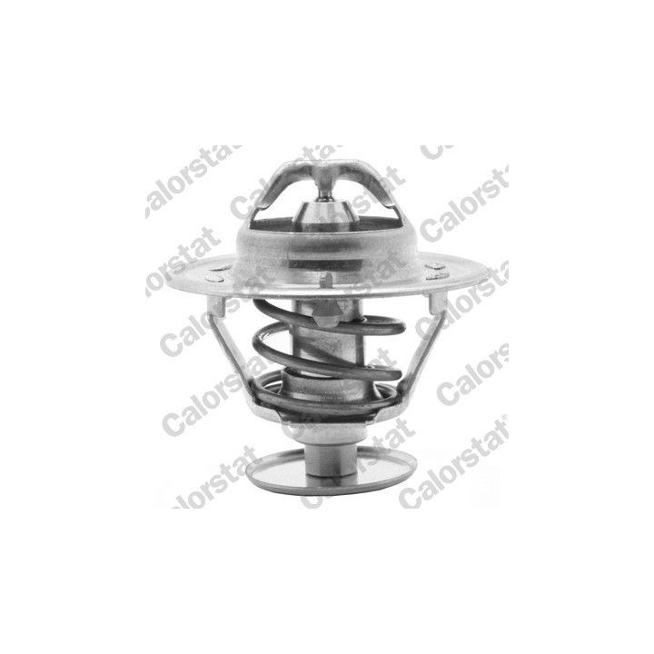 Termostatas, aušinimo skystis CALORSTAT by Vernet TH1419.82J