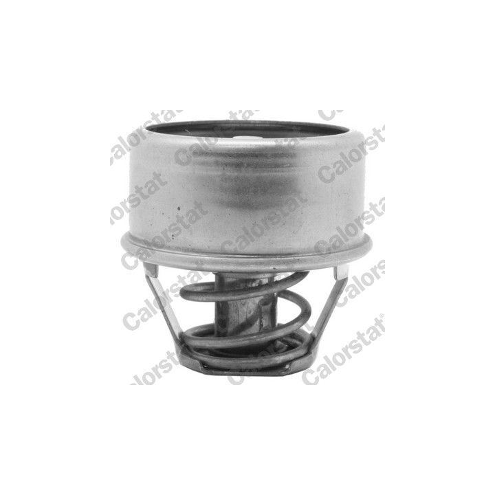 Termostatas, aušinimo skystis CALORSTAT by Vernet TH1427.88J