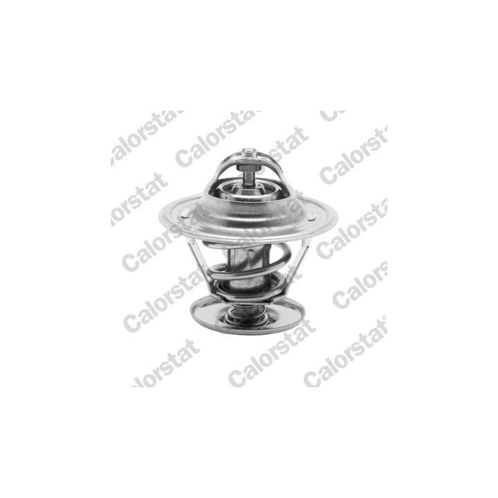 Termostatas, aušinimo skystis CALORSTAT by Vernet TH1439.80J