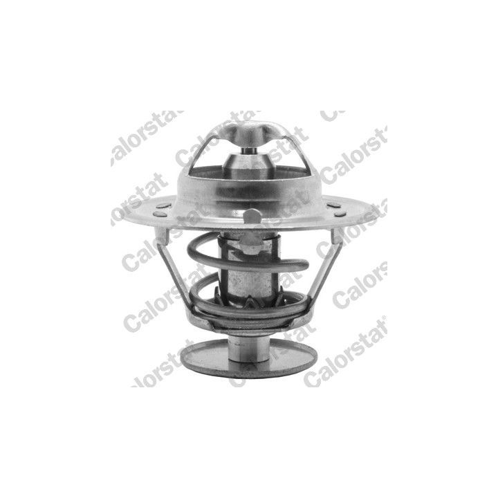 Termostatas, aušinimo skystis CALORSTAT by Vernet TH1514.81J