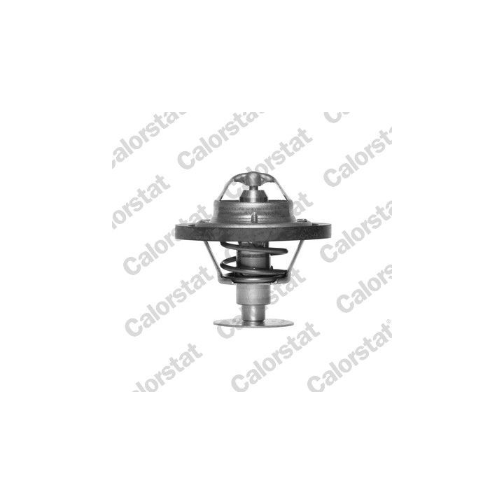 Termostatas, aušinimo skystis CALORSTAT by Vernet TH1519.82J