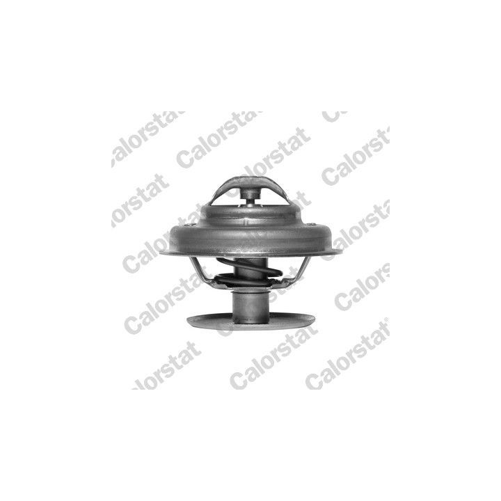 Termostatas, aušinimo skystis CALORSTAT by Vernet TH1533.88J