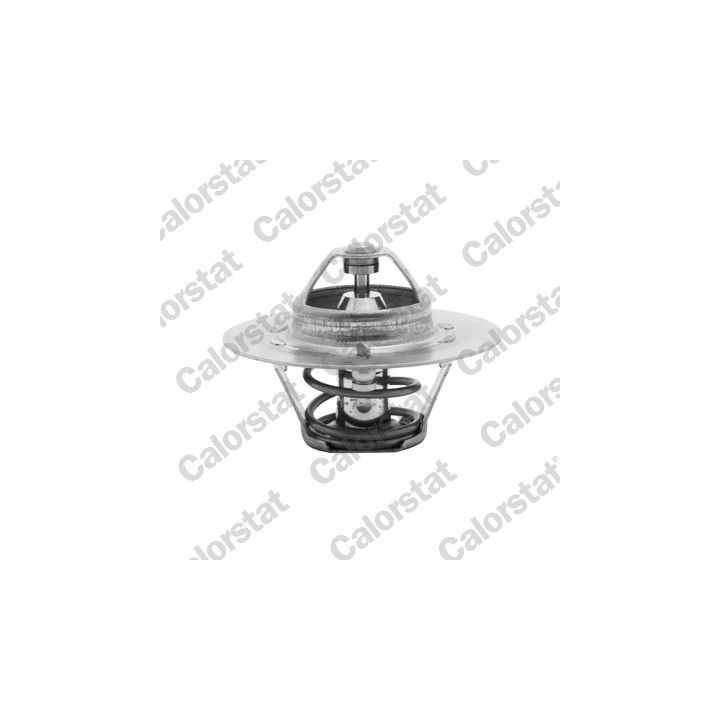 Termostatas, aušinimo skystis CALORSTAT by Vernet TH4608.80J