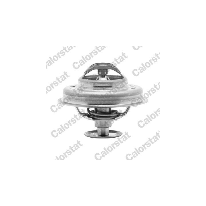 Termostatas, aušinimo skystis CALORSTAT by Vernet TH4947.81J