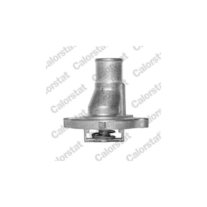 Termostatas, aušinimo skystis CALORSTAT by Vernet TH5069.87J