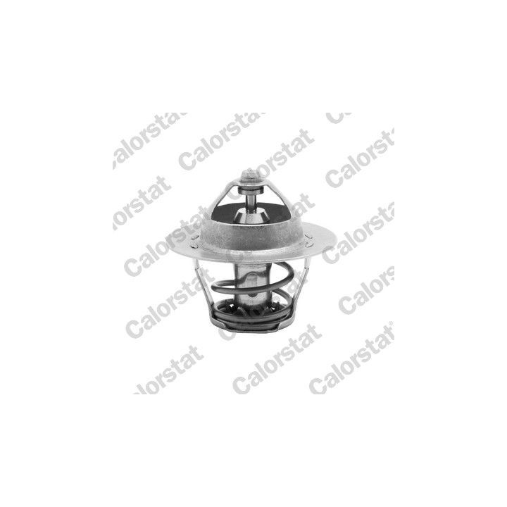 Termostatas, aušinimo skystis CALORSTAT by Vernet TH5075.88J