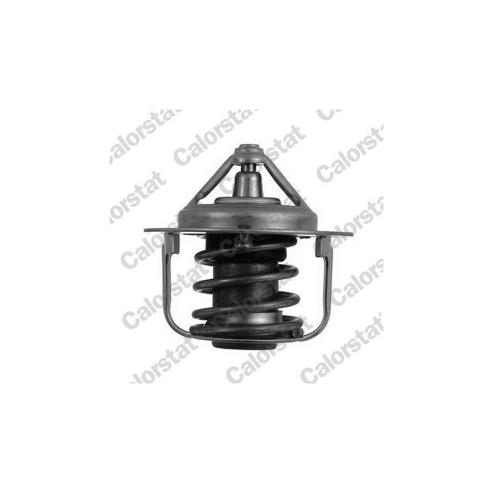 Termostatas, aušinimo skystis CALORSTAT by Vernet TH5076.82J