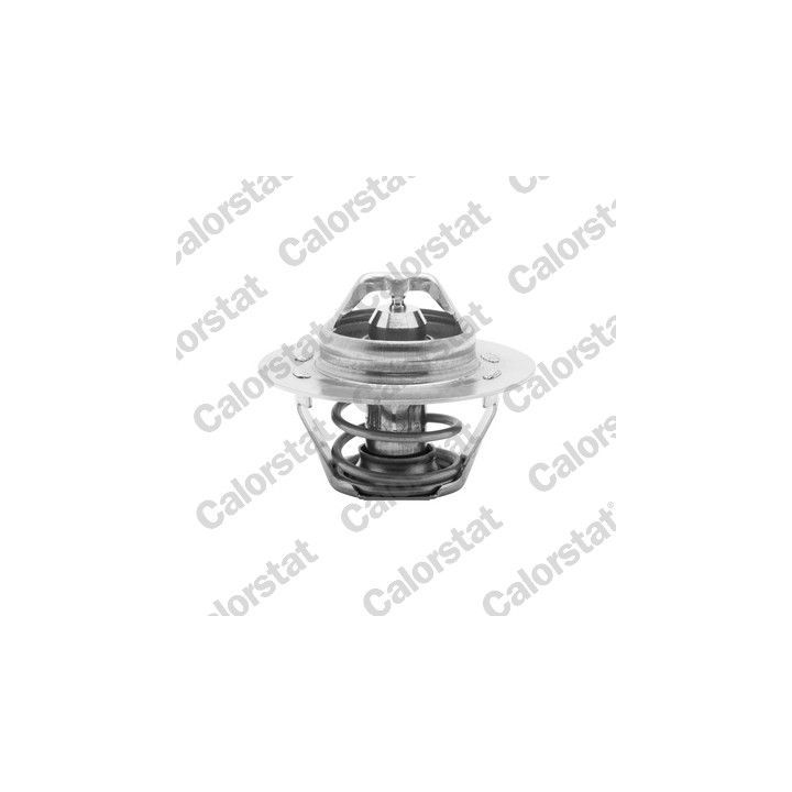 Termostatas, aušinimo skystis CALORSTAT by Vernet TH5108.89J