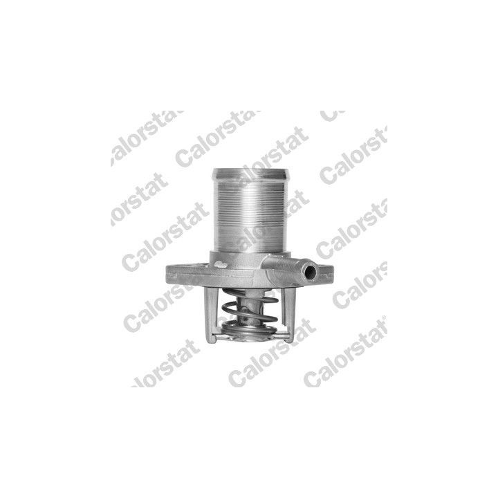 Termostatas, aušinimo skystis CALORSTAT by Vernet TH5493.89J