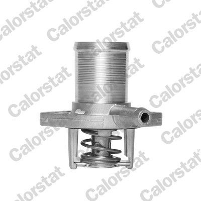 Termostatas, aušinimo skystis CALORSTAT by Vernet TH5493.89J