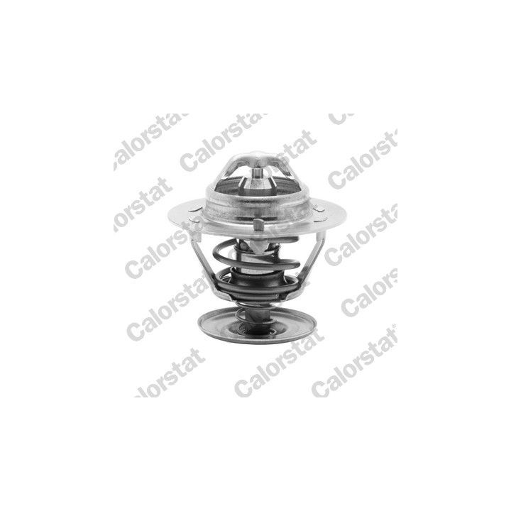 Termostatas, aušinimo skystis CALORSTAT by Vernet TH5750.92J