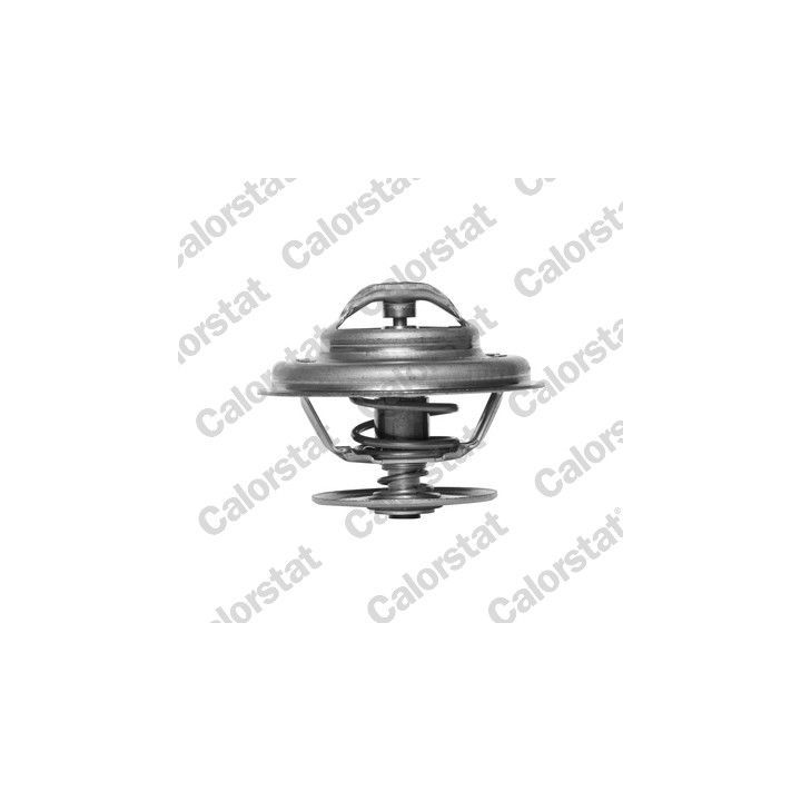 Termostatas, aušinimo skystis CALORSTAT by Vernet TH5963.80J