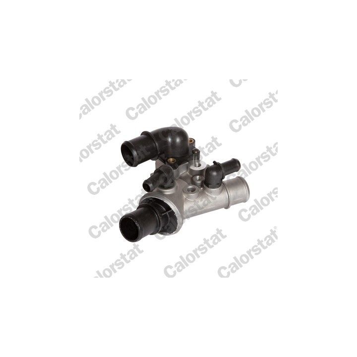 Termostatas, aušinimo skystis CALORSTAT by Vernet TH5976.80J