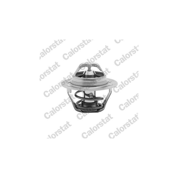 Termostatas, aušinimo skystis CALORSTAT by Vernet TH6047.75J
