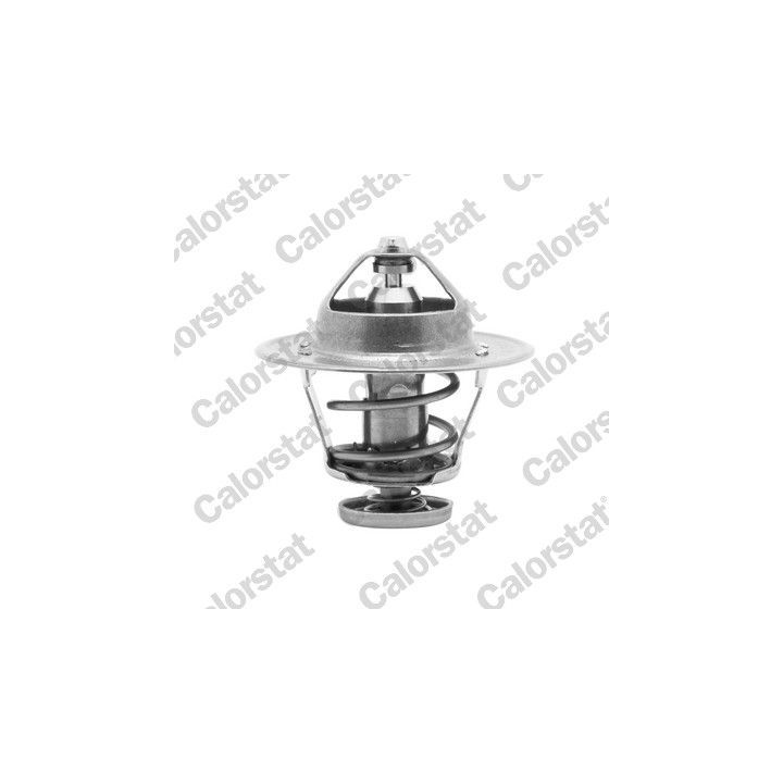 Termostatas, aušinimo skystis CALORSTAT by Vernet TH6252.82J