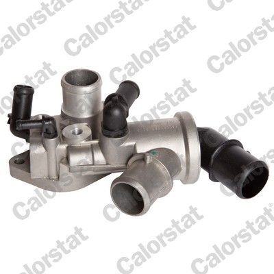 Termostatas, aušinimo skystis CALORSTAT by Vernet TH6256.75J