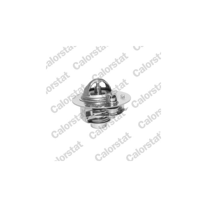 Termostatas, aušinimo skystis CALORSTAT by Vernet TH6292.88J