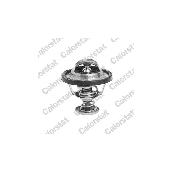 Termostatas, aušinimo skystis CALORSTAT by Vernet TH6295.71J