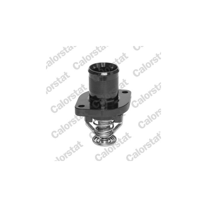 Termostatas, aušinimo skystis CALORSTAT by Vernet TH6332.89J