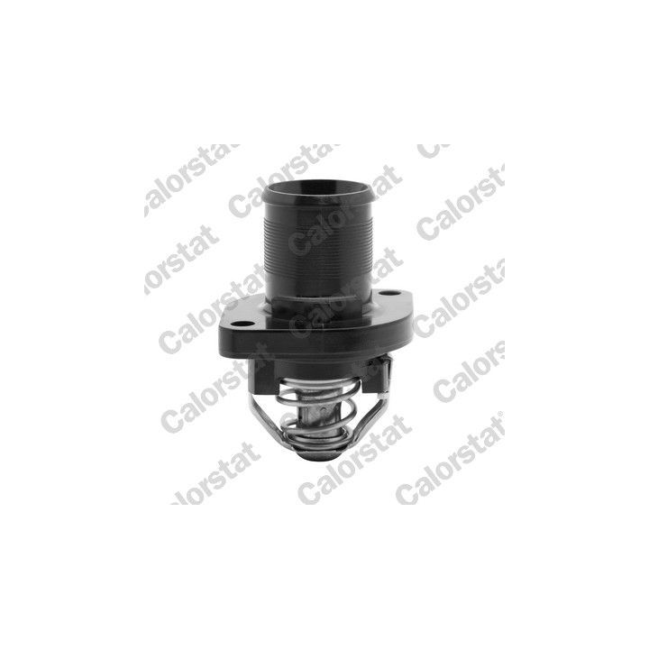 Termostatas, aušinimo skystis CALORSTAT by Vernet TH6488.89J