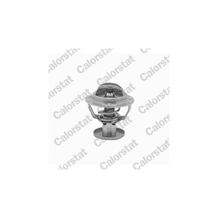 Termostatas, aušinimo skystis CALORSTAT by Vernet TH6578.87J