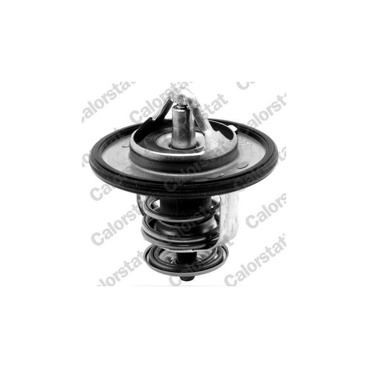 Termostatas, aušinimo skystis CALORSTAT by Vernet TH6587.82J