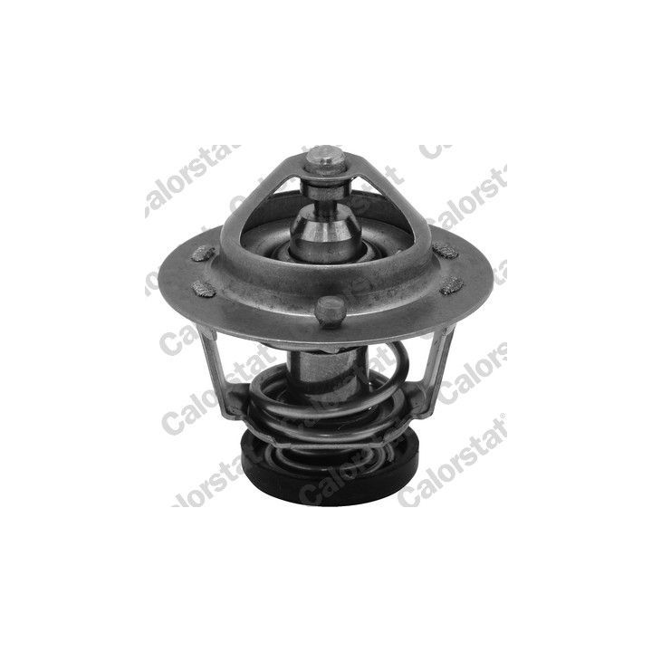 Termostatas, aušinimo skystis CALORSTAT by Vernet TH6599.78J