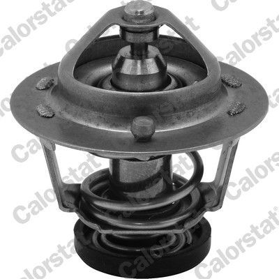 Termostatas, aušinimo skystis CALORSTAT by Vernet TH6599.78J