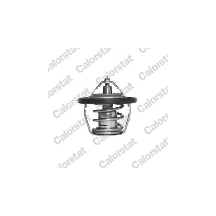 Termostatas, aušinimo skystis CALORSTAT by Vernet TH6736.78J