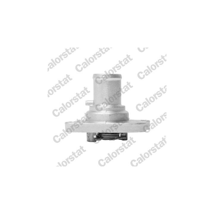 Termostatas, aušinimo skystis CALORSTAT by Vernet TH6782.87J