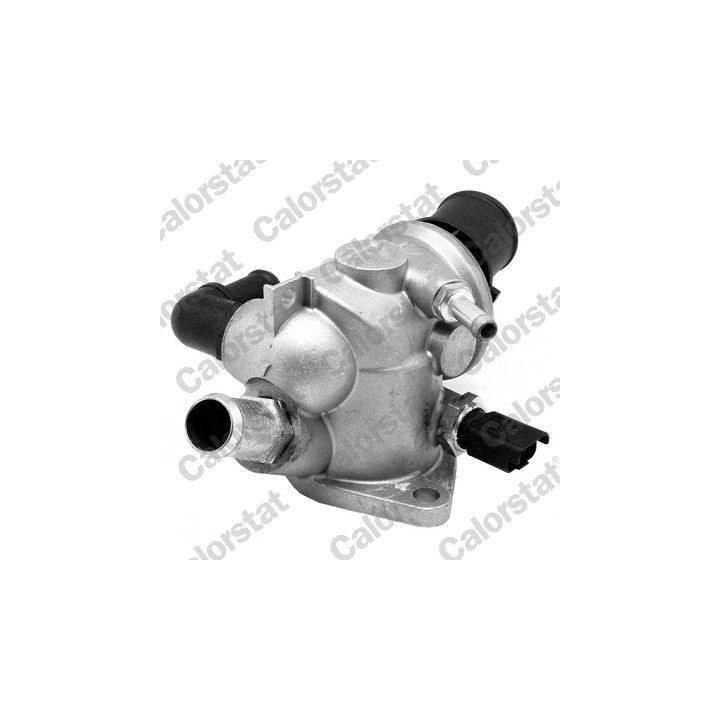 Termostatas, aušinimo skystis CALORSTAT by Vernet TH6824.88J