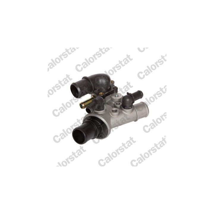 Termostatas, aušinimo skystis CALORSTAT by Vernet TH6830.80J