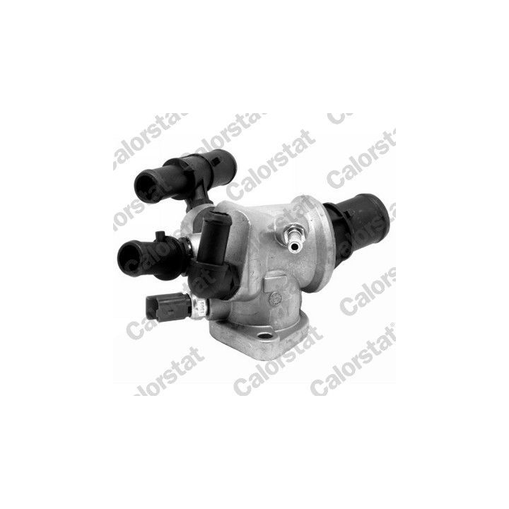 Termostatas, aušinimo skystis CALORSTAT by Vernet TH6832.88J