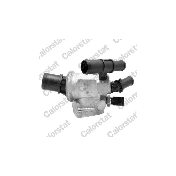 Termostatas, aušinimo skystis CALORSTAT by Vernet TH6833.88J