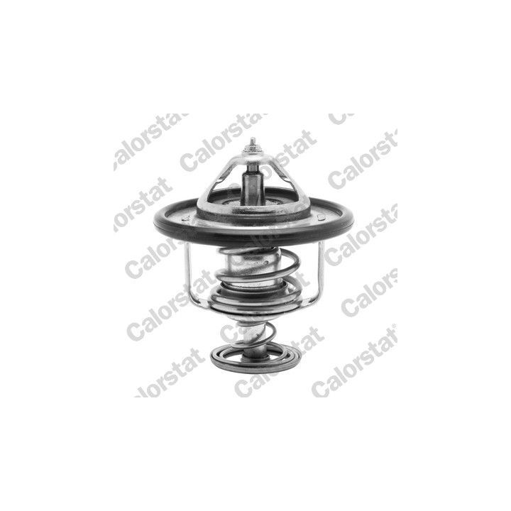 Termostatas, aušinimo skystis CALORSTAT by Vernet TH6840.82J