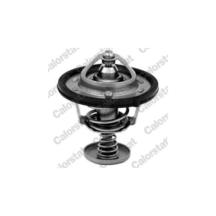 Termostatas, aušinimo skystis CALORSTAT by Vernet TH6870.82J