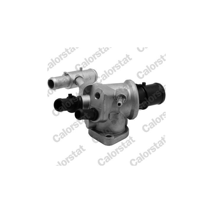 Termostatas, aušinimo skystis CALORSTAT by Vernet TH6871.88J