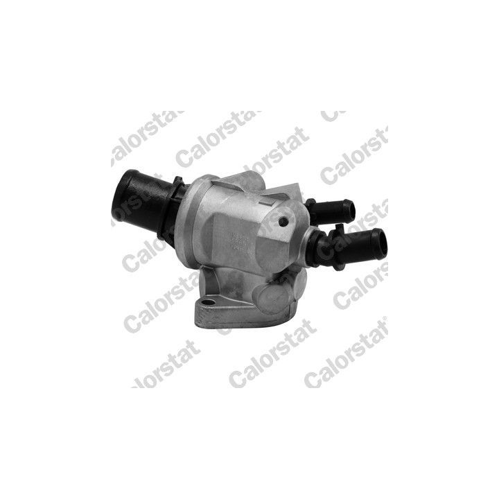 Termostatas, aušinimo skystis CALORSTAT by Vernet TH6882.88J