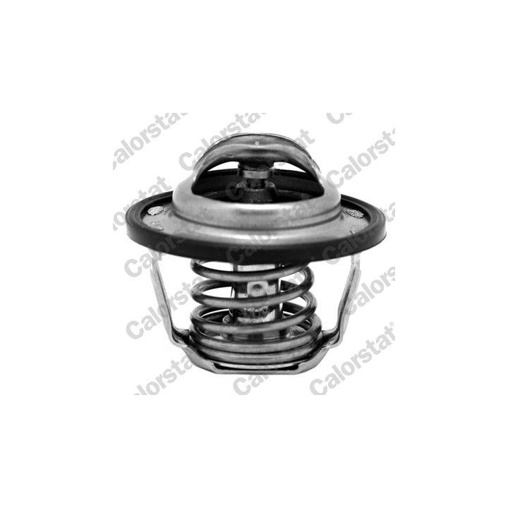 Termostatas, aušinimo skystis CALORSTAT by Vernet TH6883.82J