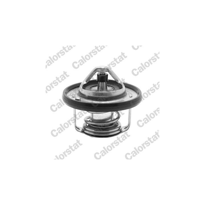 Termostatas, aušinimo skystis CALORSTAT by Vernet TH6949.88J