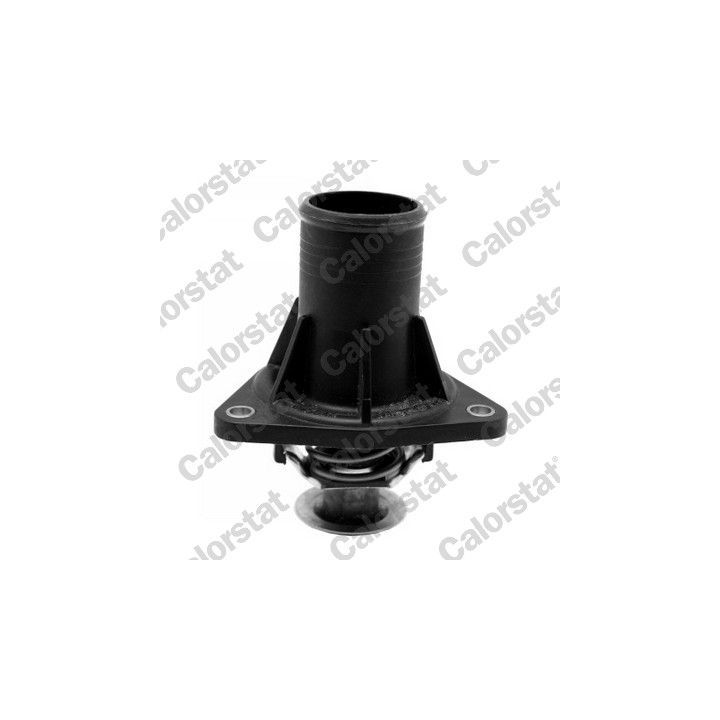 Termostatas, aušinimo skystis CALORSTAT by Vernet TH6960.82