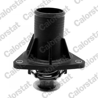 Termostatas, aušinimo skystis CALORSTAT by Vernet TH6960.82