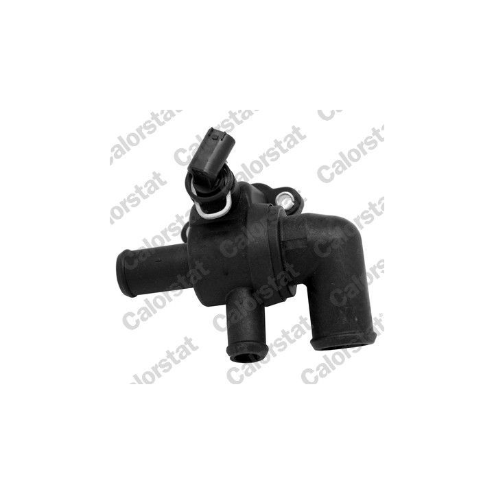 Termostatas, aušinimo skystis CALORSTAT by Vernet TH6969.90J