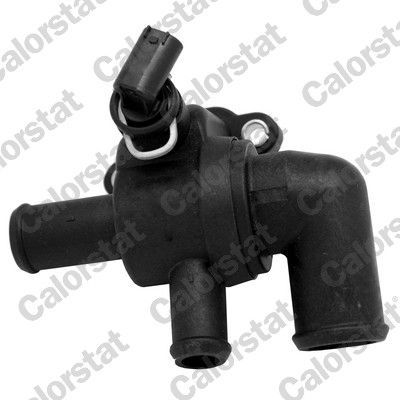 Termostatas, aušinimo skystis CALORSTAT by Vernet TH6969.90J