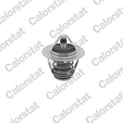 Termostatas, aušinimo skystis CALORSTAT by Vernet TH7082.85J