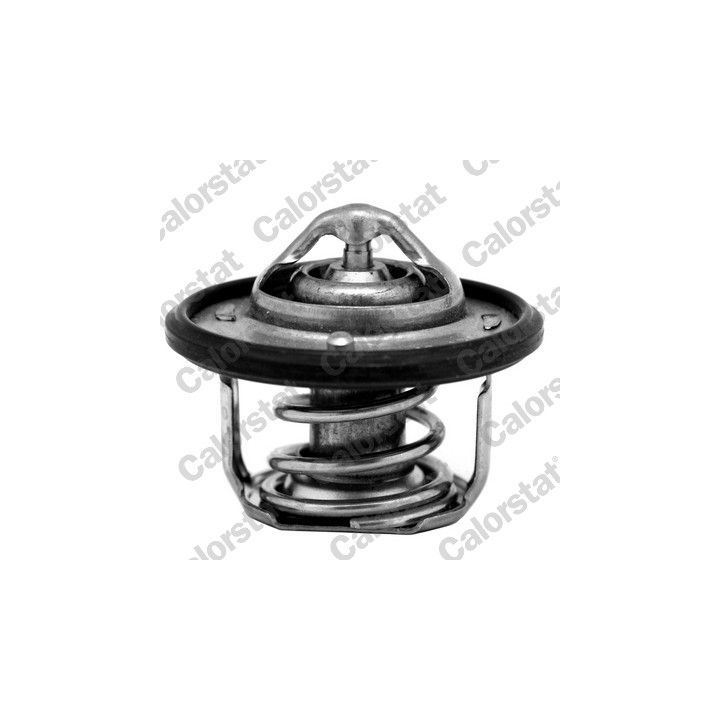 Termostatas, aušinimo skystis CALORSTAT by Vernet TH7084.82J