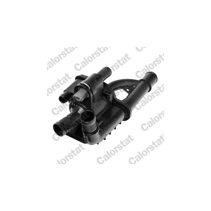Termostatas, aušinimo skystis CALORSTAT by Vernet TH7087.83J
