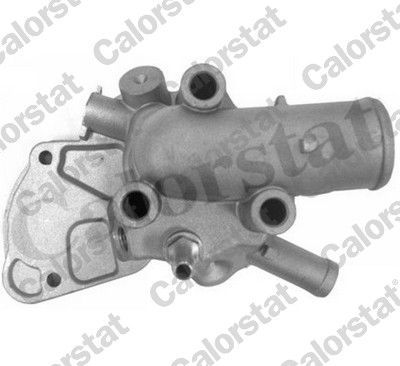 Termostatas, aušinimo skystis CALORSTAT by Vernet TH7114.87J