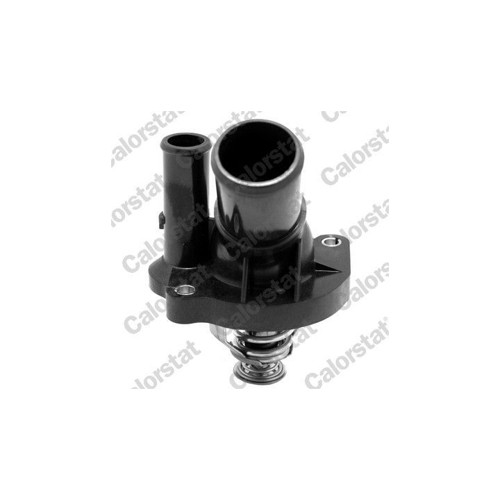 Termostatas, aušinimo skystis CALORSTAT by Vernet TH7142.90J